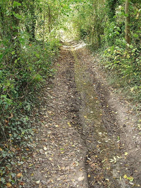futur trail 022.jpg